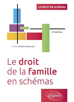 Télécharger le livre :  Le droit de la famille en schémas