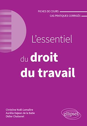 Téléchargez le livre :  L'essentiel du droit du travail
