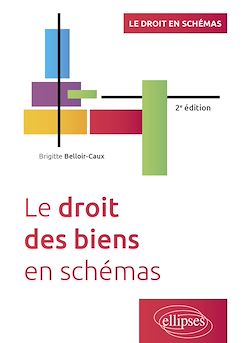 Télécharger le livre :  Le droit des biens en schémas