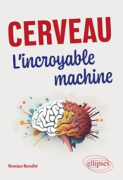 Télécharger le livre :  Cerveau. L'incroyable machine