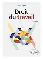 Télécharger le livre :  Droit du travail