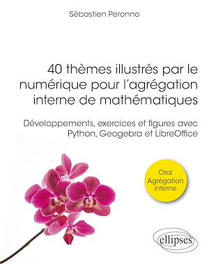 Téléchargez le livre :  40 thèmes illustrés par le numérique pour l'agrégation interne de mathématiques