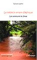 Télécharger le livre :  Le médecin errant d'Afrique