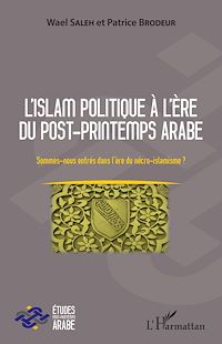 Télécharger le livre :  L'islam politique à l'ère du post-printemps arabe