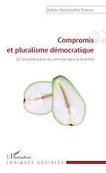 Télécharger le livre :  Compromis et pluralisme démocratique