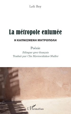 Téléchargez le livre :  La métropole enfumée