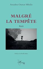 Télécharger le livre :  Malgré la tempête
