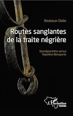Télécharger le livre :  Routes sanglantes de la traite négrière