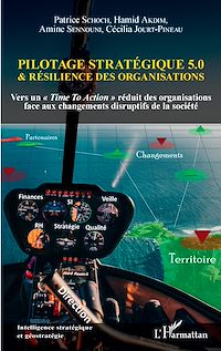 Télécharger le livre :  Pilotage stratégique 5.0 et résilience des organisations