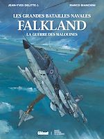 Télécharger le livre :  Falkland
