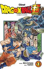 Télécharger le livre :  Dragon Ball Super - Tome 13