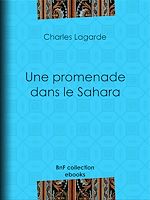 Télécharger le livre :  Une promenade dans le Sahara