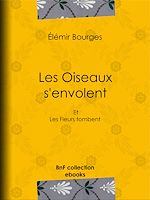 Télécharger le livre :  Les Oiseaux s'envolent