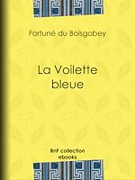 Télécharger le livre :  La Voilette bleue