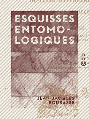 Téléchargez le livre :  Esquisses entomologiques