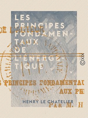 Téléchargez le livre :  Les Principes fondamentaux de l'énergétique