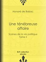 Télécharger le livre :  Une ténébreuse affaire