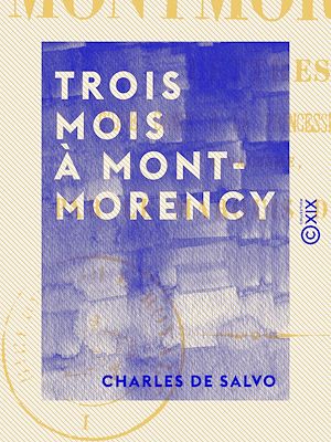 Téléchargez le livre :  Trois mois à Montmorency
