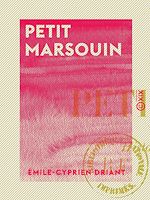 Télécharger le livre :  Petit Marsouin - Histoire d'une famille de soldats, 1870-1886