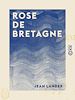 Télécharger le livre :  Rose de Bretagne - La Main de Dieu