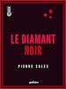 Télécharger le livre :  Le Diamant noir