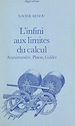 Télécharger le livre :  L'infini aux limites du calcul