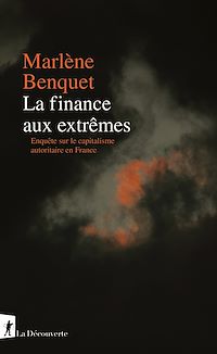 Téléchargez le livre :  La finance aux extrêmes