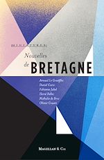 Download this eBook Nouvelles de Bretagne