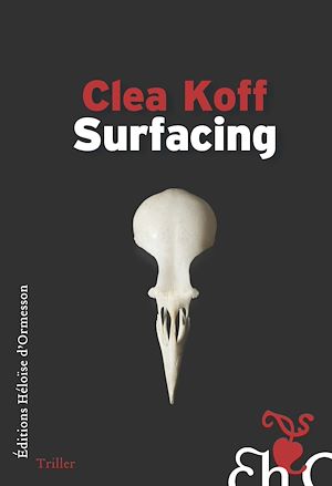 Download the eBook: Surfacing