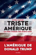 Télécharger le livre :  Triste Amérique