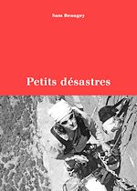 Télécharger le livre :  Petits désastres