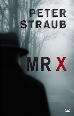 Télécharger le livre :  Mr X