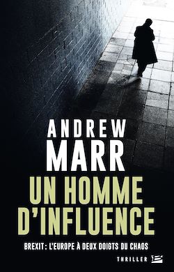 Télécharger le livre :  Un Homme d'influence