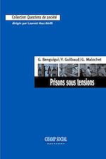 Télécharger le livre :  Prisons sous tensions
