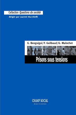 Télécharger le livre :  Prisons sous tensions