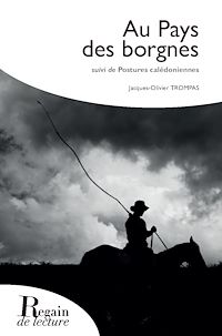Télécharger le livre :  Au pays des borgnes