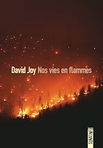 Télécharger le livre :  Nos vies en flammes