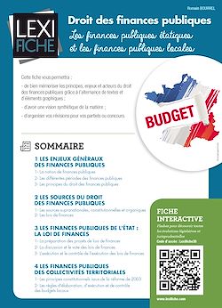 Télécharger le livre :  Droit des finances publiques