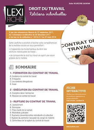 Droit Du Travail Relations Individuelles 5eme Edition Ebook