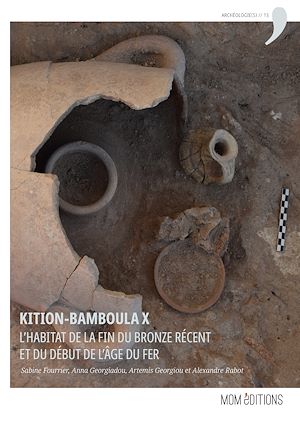 Téléchargez le livre :  Kition-Bamboula X