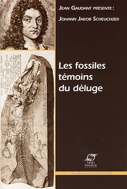Télécharger le livre :  Les fossiles témoins du déluge