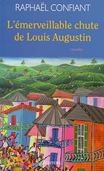 Télécharger le livre :  L'émerveillable chute de Louis Augustin