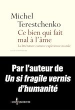 Télécharger le livre :  Ce bien qui fait mal à l'âme. La Littérature comme expérience morale
