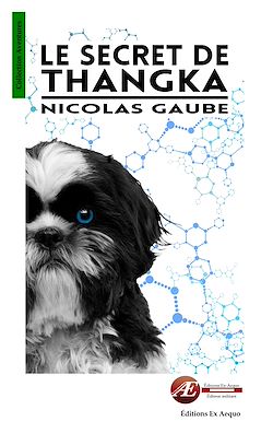 Télécharger le livre :  Le secret de Thangka