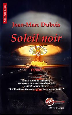 Télécharger le livre :  Soleil noir