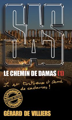 Télécharger le livre :  SAS 193 Le chemin de Damas T1