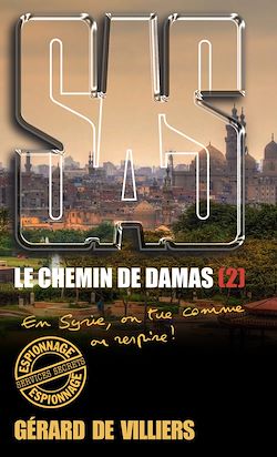 Télécharger le livre :  SAS 194 Le chemin de Damas T2
