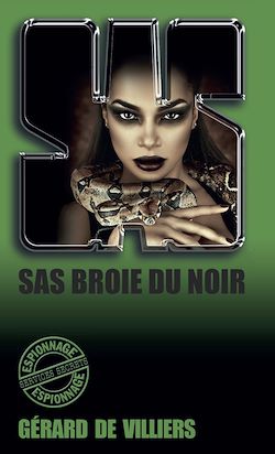 Télécharger le livre :  SAS 7 SAS Broie du noir