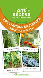 Télécharger le livre :  Les antisèches de Terre vivante : Associations au potager