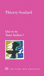 Télécharger le livre :  Qui es-tu Yann Andréa ?